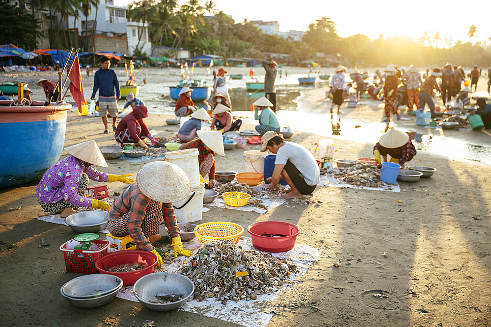 Mui Ne Fish Market at dawn, Mũi Né, Bình Thuận Province, Vietnam