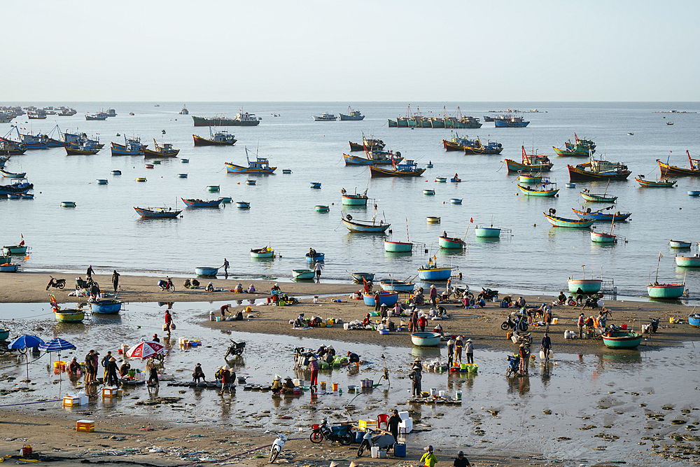 Mui Ne Fish Market at dawn, Mũi Né, Bình Thuận Province, Vietnam