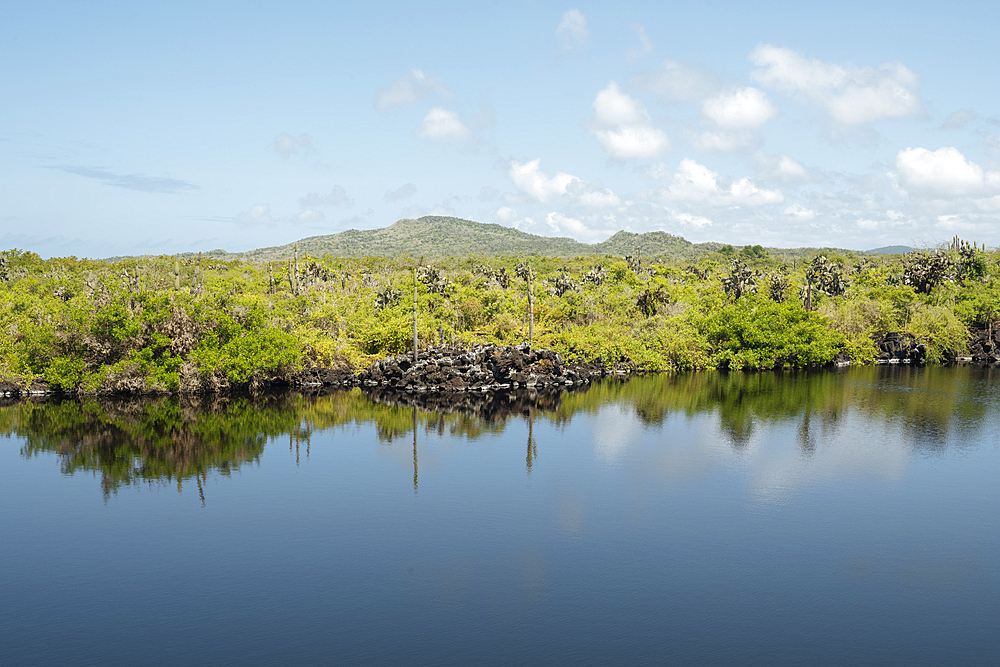 Isla Isabela, Galapagos Islands, Ecuador
