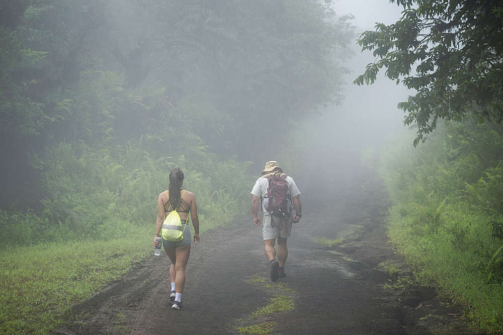 Woman hiking through forest on Sierra Negra volcano, Isabela Island, Galapagos Islands, Ecuador