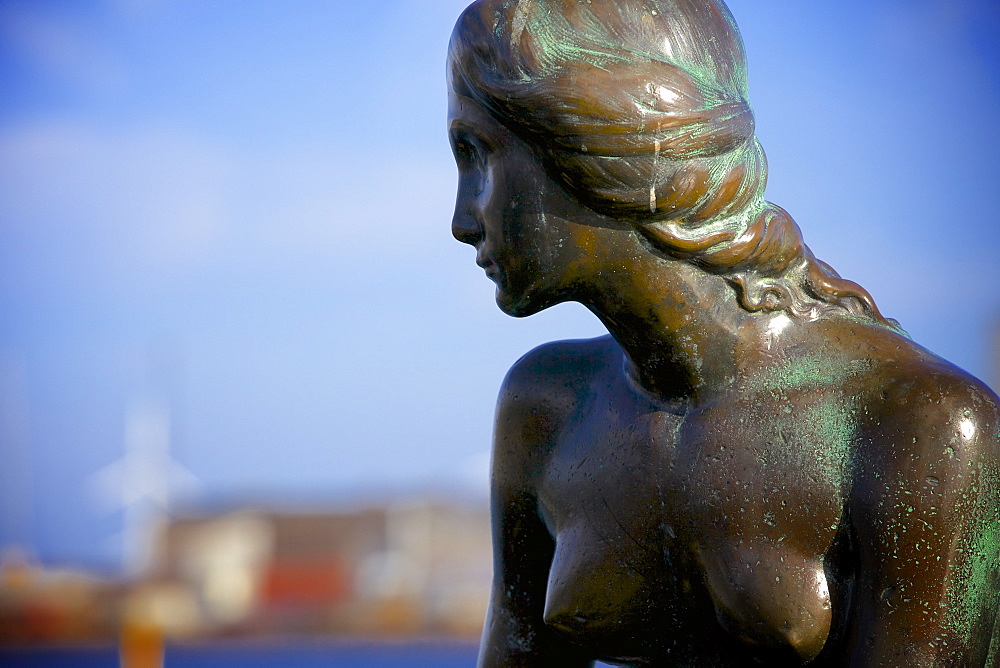 Close up of the Statue of The Little Mermaid in Copenhagen, Denmark, Scandinavia, Europe