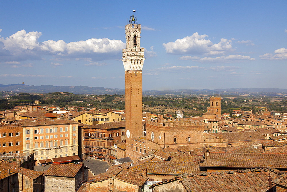 View of Siena Palazzo Publico and Piazza del Campo, UNESCO World Heritage Site, Siena, Tuscany, Italy, Europe