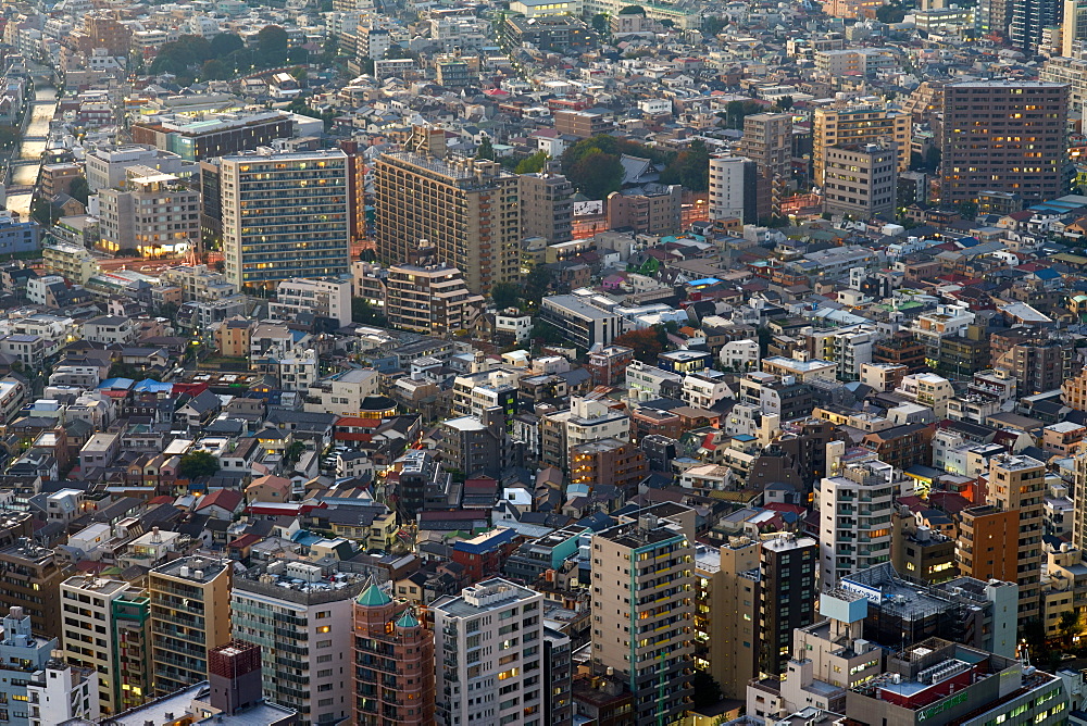 Cityscape view from the Tokyo Metropolitan Government Building, Tokyo, Japan, Asia