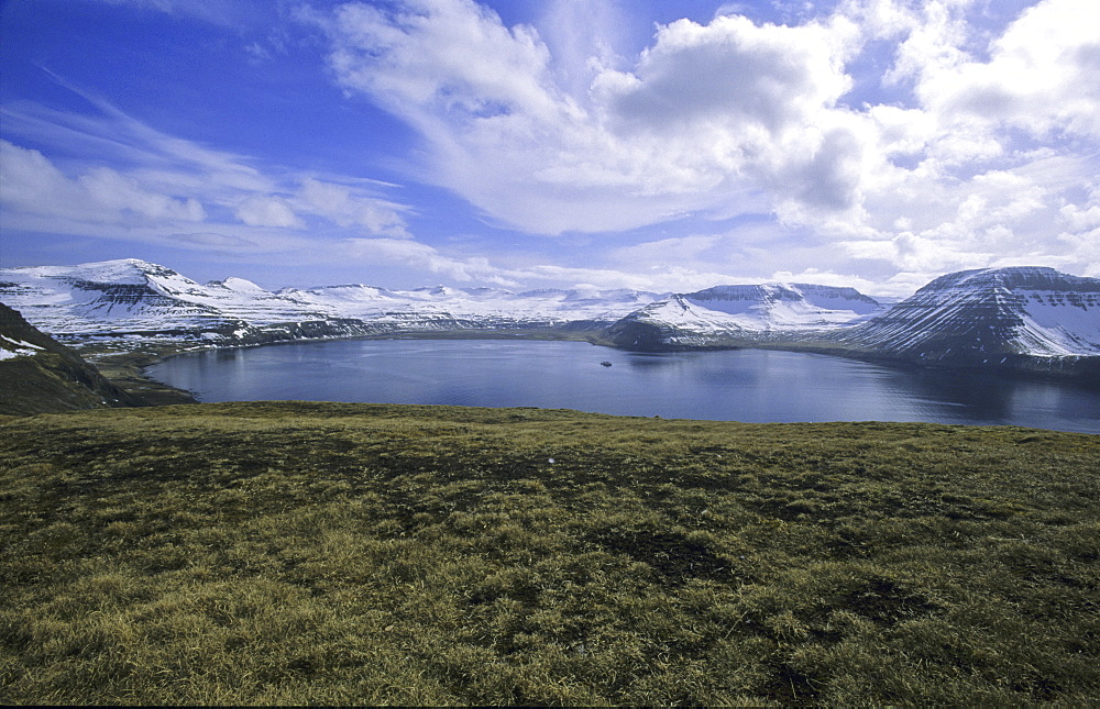 View from Hornbjarg towards Hornvik Bay. Northern Iceland.