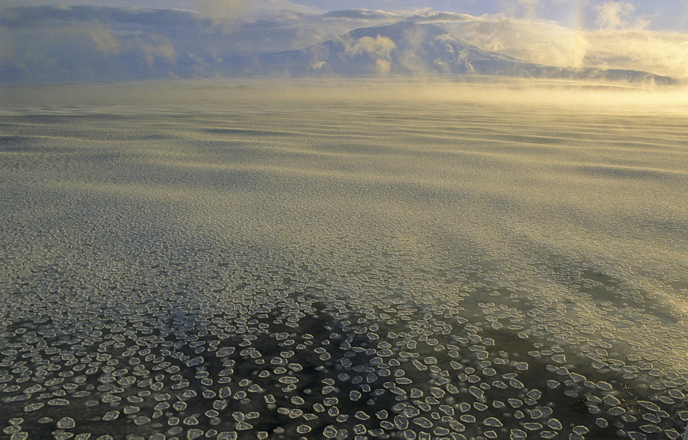 Grease ice and small pancake ice. Nearby Ross Island, Ross Sea, Antarctica.