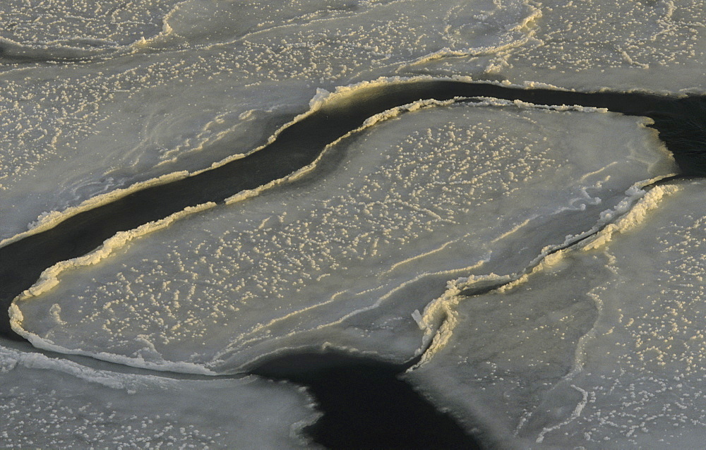 Pancake ice. Ross Sea, Antarctica.