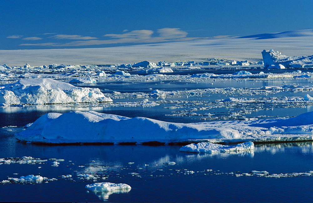 Iceberg formations while traveling in the Weddell Sea. Weddell Sea, Antarctica