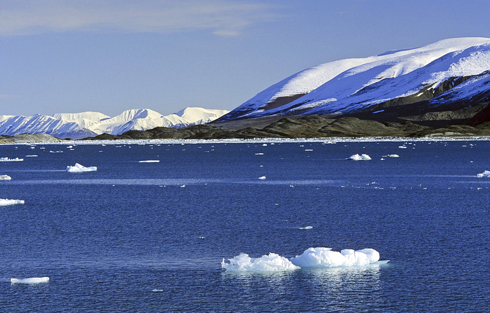 LernerØyane in Liefdefjorden. Northern Spitsbergen 