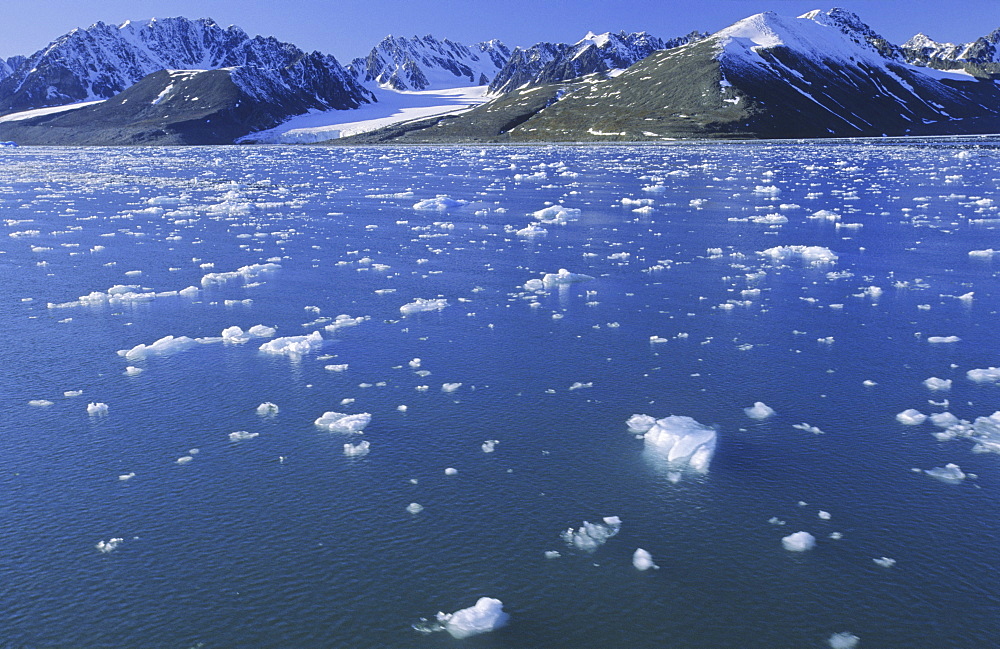 Emmabreen in Liefdefjorden. Northern Spitsbergen 