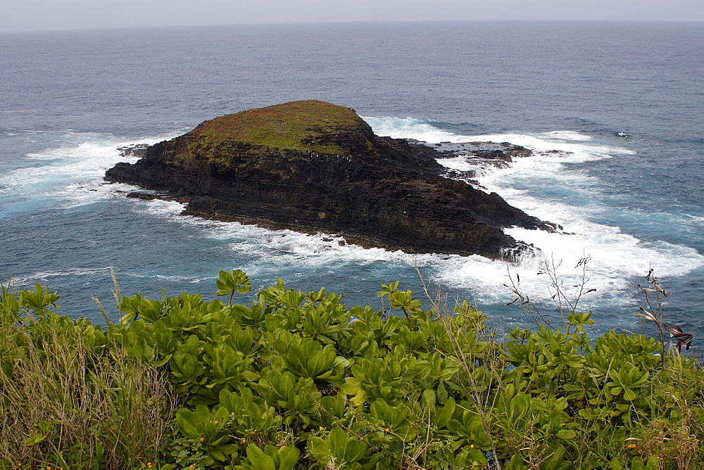 Island next to Kilauea light house, Kauai, Hawaii, United States of America, Pacific