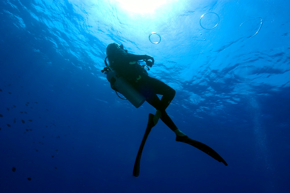 Diver makes bubble rings during deco stop, Fernando de Noronha, Pernambuco, Brazil, South America