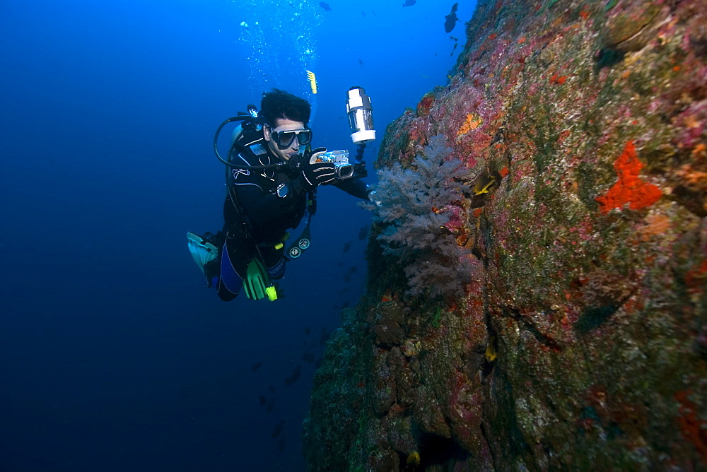 Diver photographs black coral (Anthipataria sp.), St. Peter and St. Paul's rocks, Brazil, South America