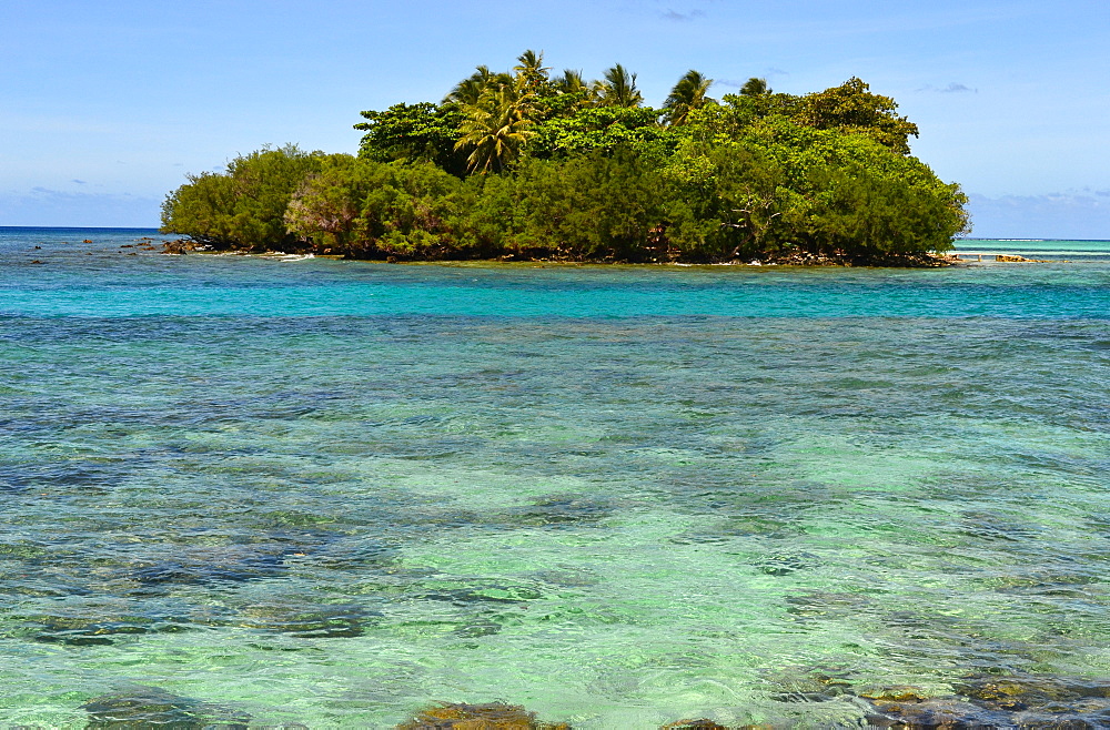 Fringing reef at Black Coral island, Kitti Province, Pohnpei, Federated States of Micronesia, Caroline Islands, Micronesia, Pacific Ocean, Pacific