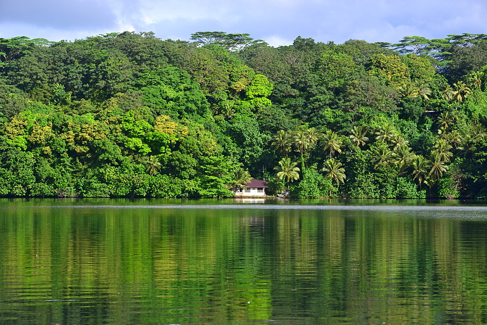 Coastal house and jungle, Pohnpei, Federated States of Micronesia, Caroline Islands, Micronesia, Pacific Ocean, Pacific