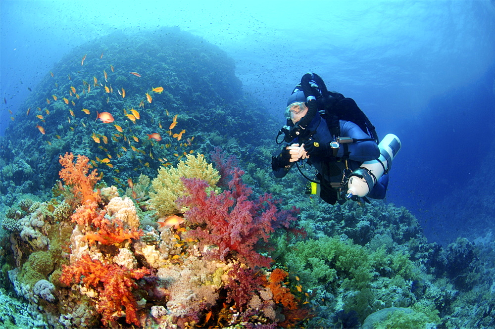 Mixed gas rebreather diver on coral reef.  Red Sea.