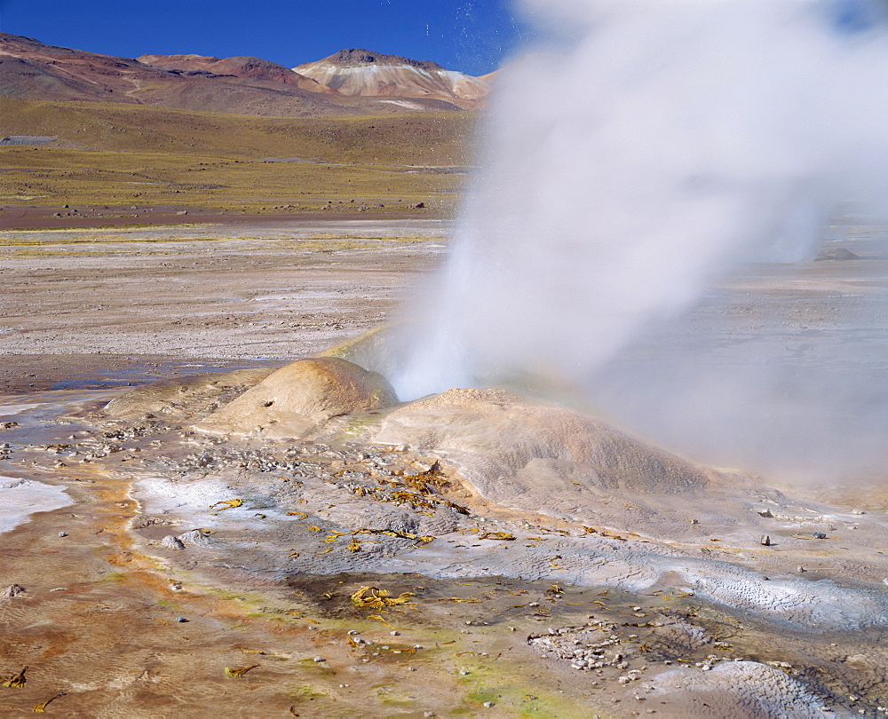 El Tatio Geyser in the San Pedro de Atacama, Chile, South America