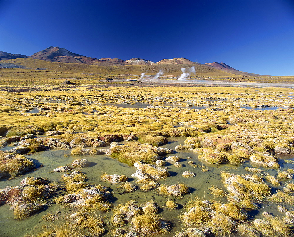 El Tatio Geyser in the San Pedro de Atacama, Chile, South America