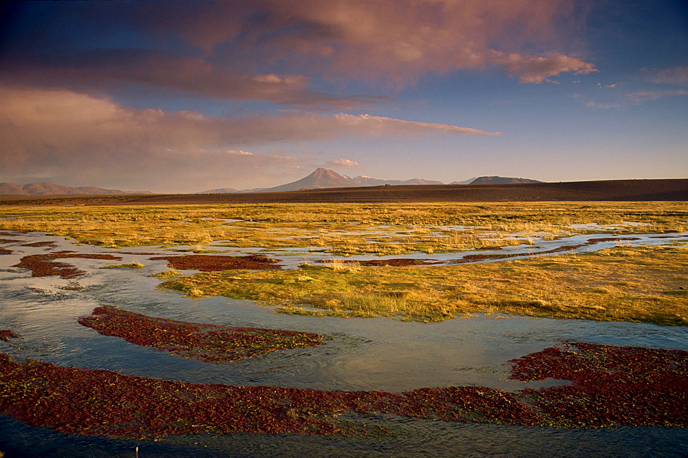 Landscape in the Isluga area of the Atacama Desert, Chile, South America