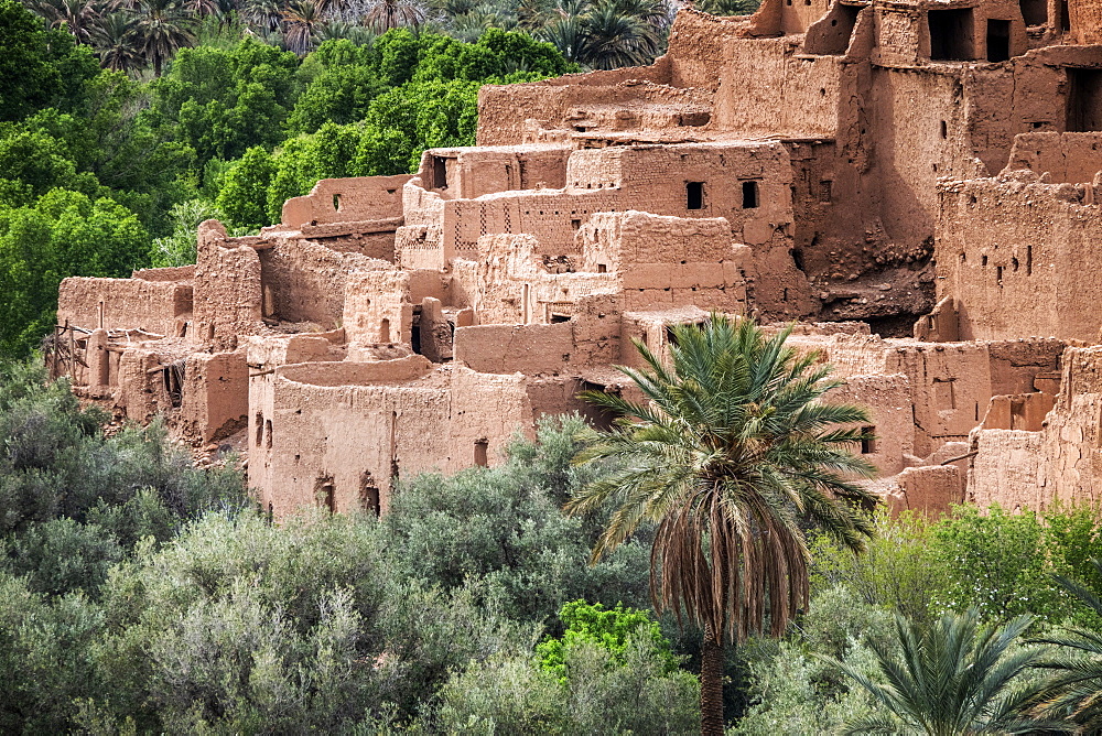 Village and palms in Morocco, North Africa, Africa