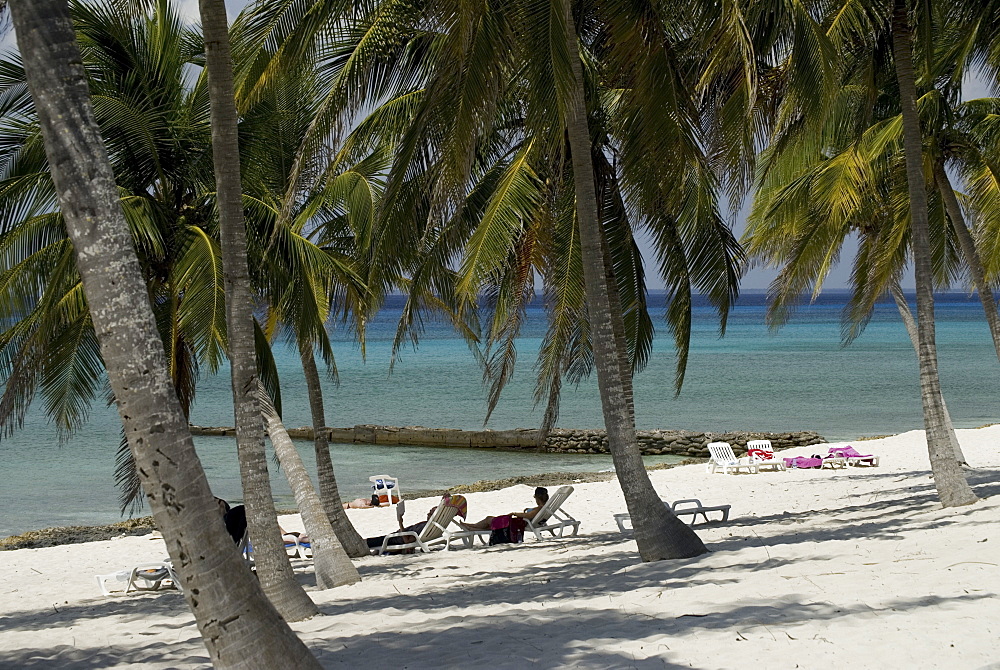 Palm trees and small pier off beach, Maria La Gorda, Cuba, Caribbean