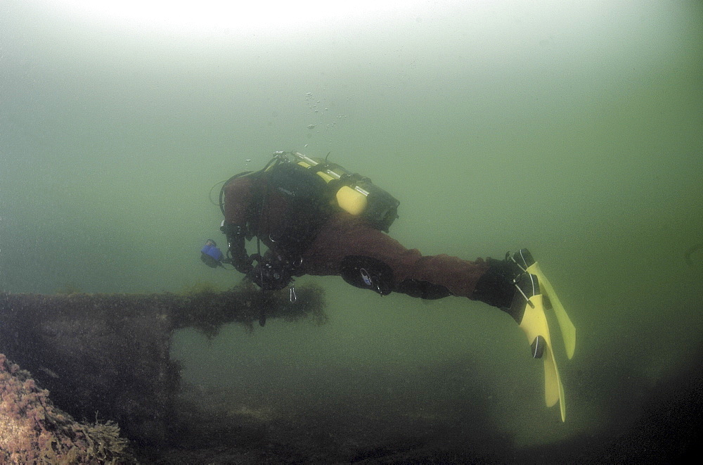 Diver on British Blockship Ilsenstein, Scapa Flow, Orkney islands, Scotland, UK