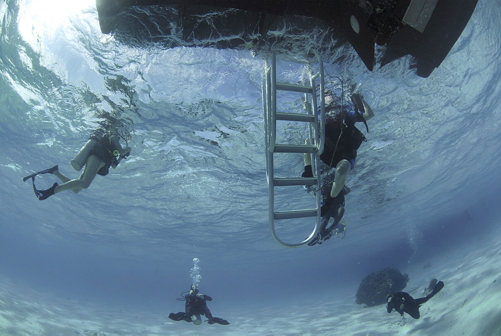 Divers under boat's ladder, Grand Cayman Island, Cayman Islands, Caribbean