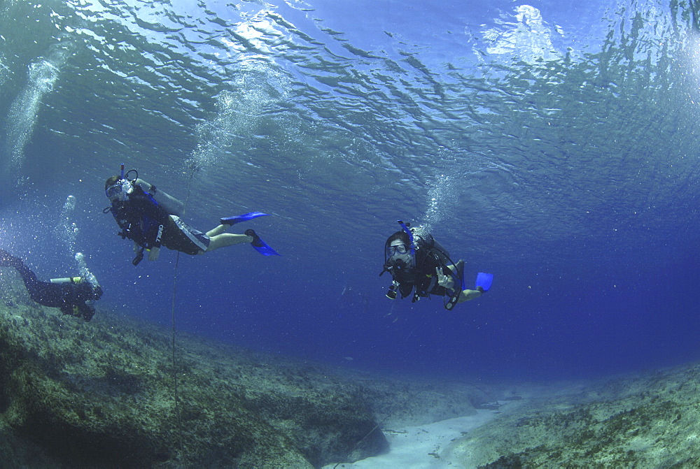 Divers swimming over spur and groove reef, Grand Cayman Island, Cayman Islands, Caribbean