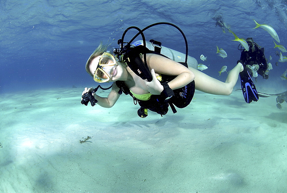 Bikini Diver at Stingray City Sandbar, Grand Cayman Island, Cayman Islands, Caribbean