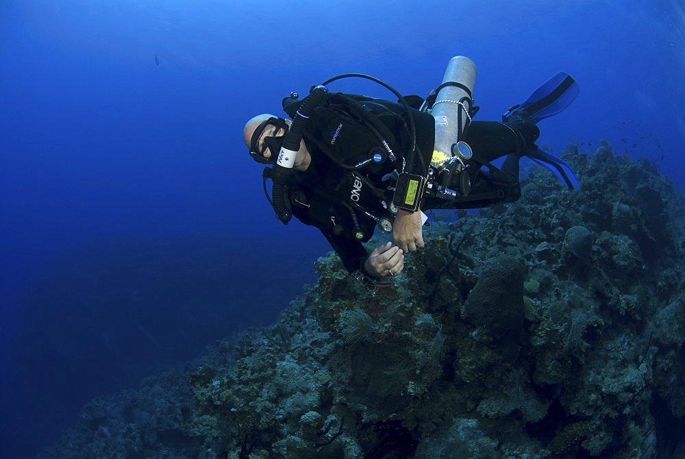 Technical Divers using Trimix, Rebreathers and technical diving equipment, Divetech, Grand Cayman, Cayman Islands, Caribbean