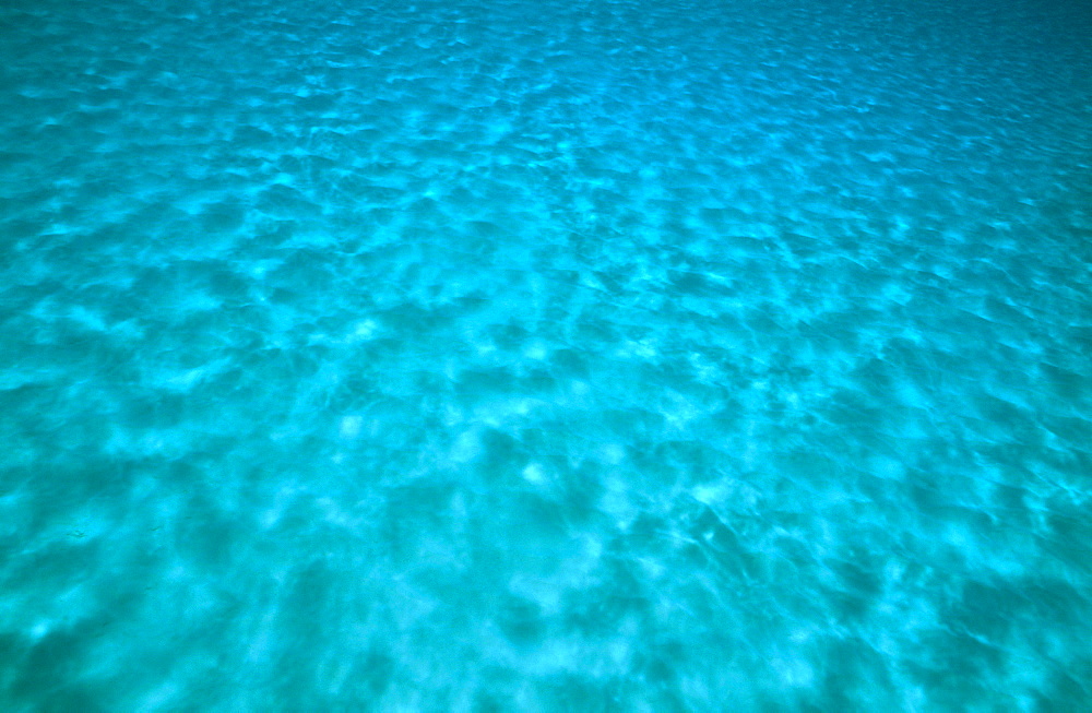 Blue under water scenic.