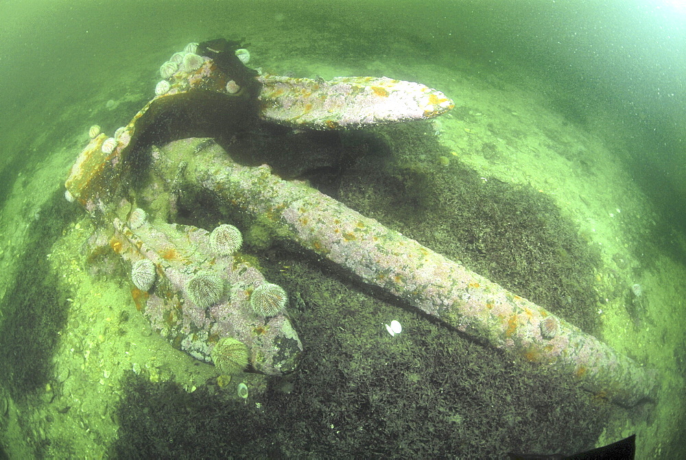 Anchor from German Battleship Seydlitz, Scapa Flow, Orkney islands, Scotland, UK