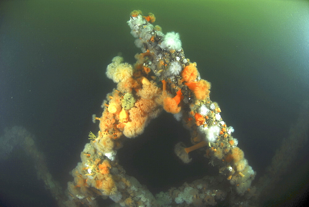 Remains from German Battleship Seydlitz, Scapa Flow, Orkney islands, Scotland, UK