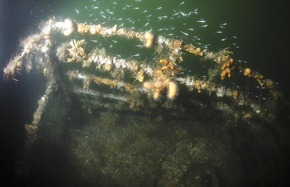 German Light Cruiser Brummer Railings, Scapa Flow, Orkney Islands, Scotland, UK