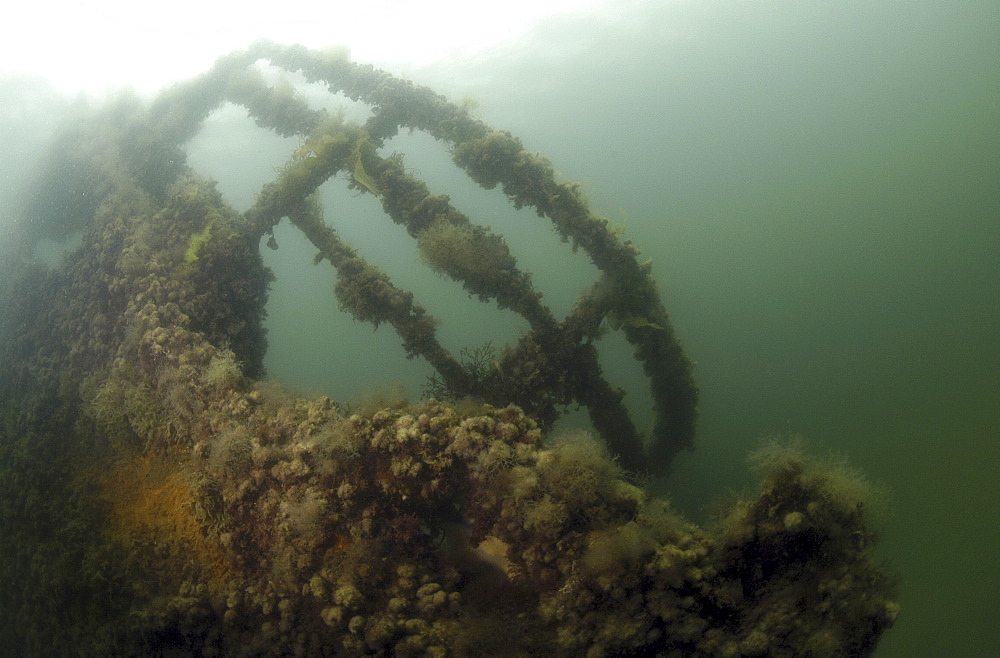 British Blockship Ilsenstein bows, Scapa Flow, Orkney Islands, Scotland, UK