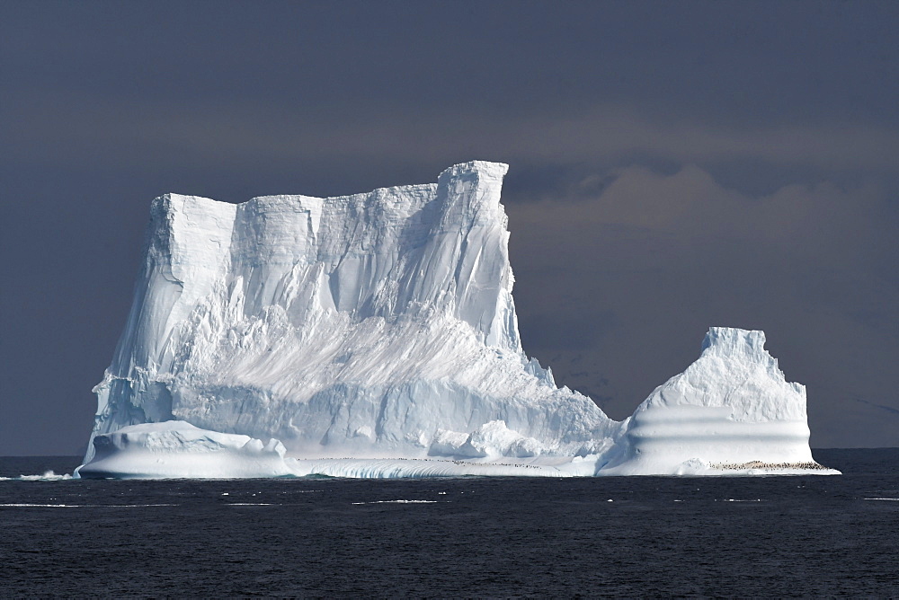 Iceberg with penguins against a blue sky, South Sandwich Islands, Polar Regions