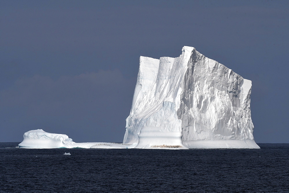 Iceberg with penguins against a blue sky, South Sandwich Islands, Polar Regions