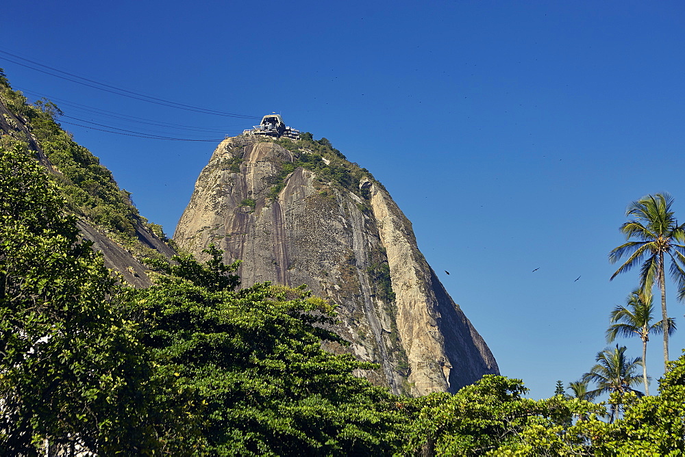 Views of Sugarloaf mountain (Pao de Acucar), early evening, Rio de Janeiro, Brazil, South America