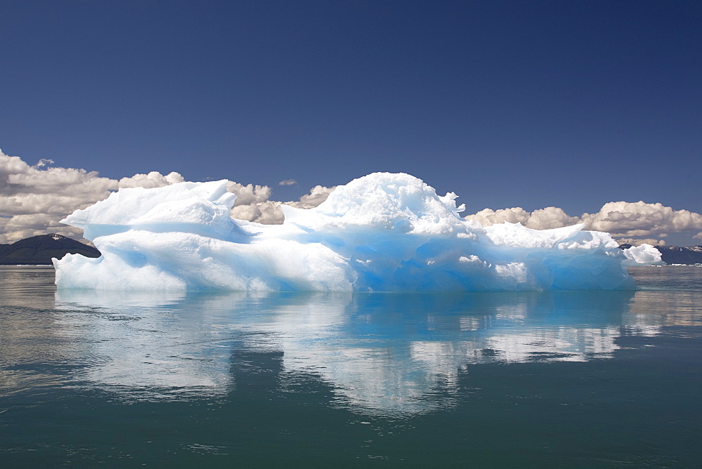 Icebergs calved from the LeConte Glacier just outside Petersburg, Southeast Alaska, USA. Pacific Ocean.