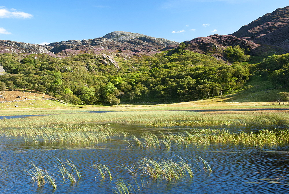 Llyn Cwm Bychan, Wales, UK