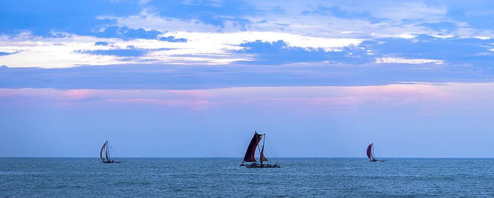 Negombo, traditional outrigger fishing boats (oruva) returning at sunrise to Negombo fishing market, Sri Lanka, Asia