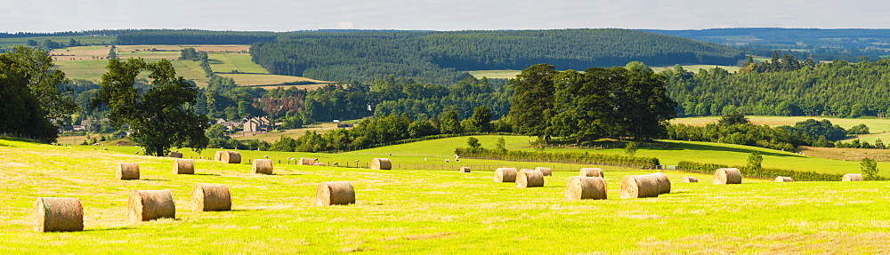 Hay bale landscape in Northumberland National Park, near Hexham, Northumberland, England, United Kingdom, Europe