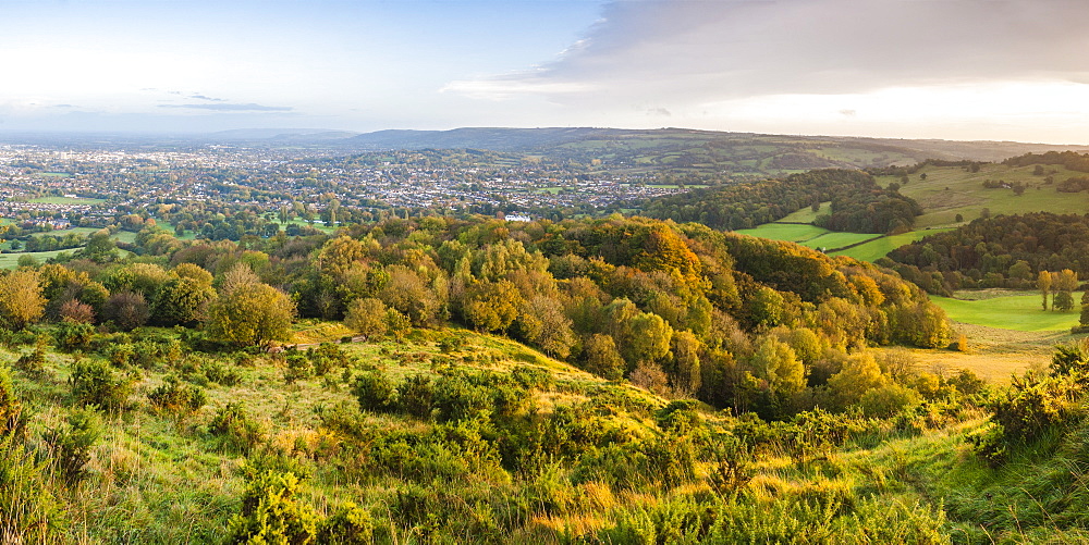 Autumn trees on Leckhampton Hill, Cheltenham, The Cotswolds, Gloucestershire, England, United Kingdom, Europe 