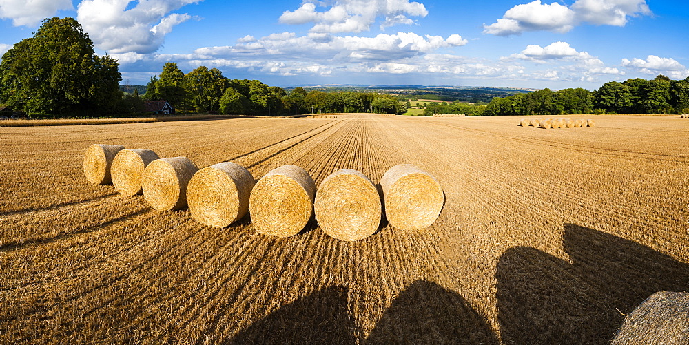 Hay bales in The Cotswolds, Longborough, Gloucestershire, England, United Kingdom, Europe 