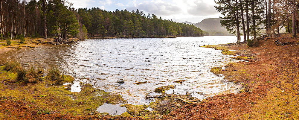 Loch an Eilein and the Rothiemurchus Forest, Aviemore, Cairngorms National Park, Scotland, United Kingdom, Europe