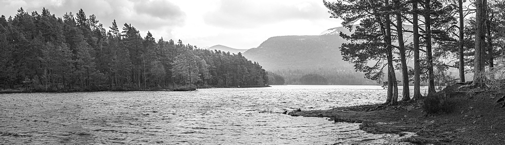 Loch an Eilein, Aviemore, Cairngorms National Park, Scotland, United Kingdom, Europe