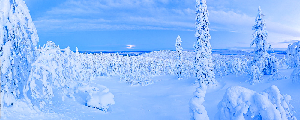 Snow covered winter landscape, Lapland, Pallas-Yllastunturi National Park, Lapland, Finland, Europe