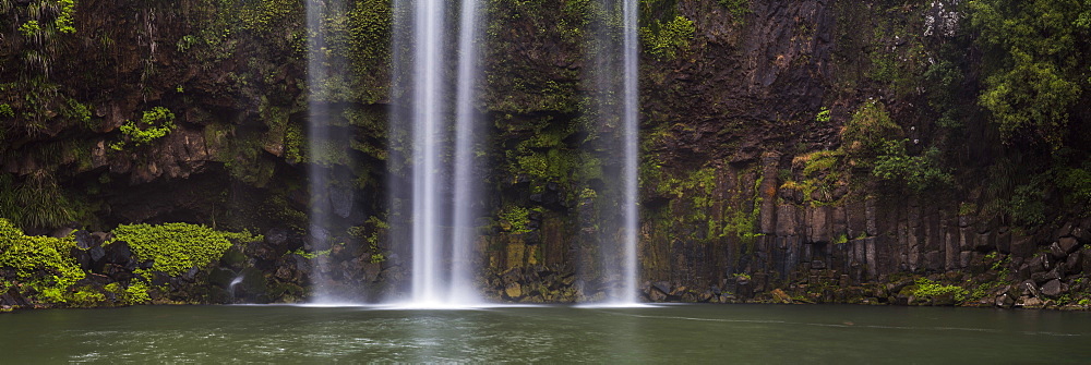 Whangarei Falls, a popular waterfall in the Northlands Region of North Island, New Zealand, Pacific