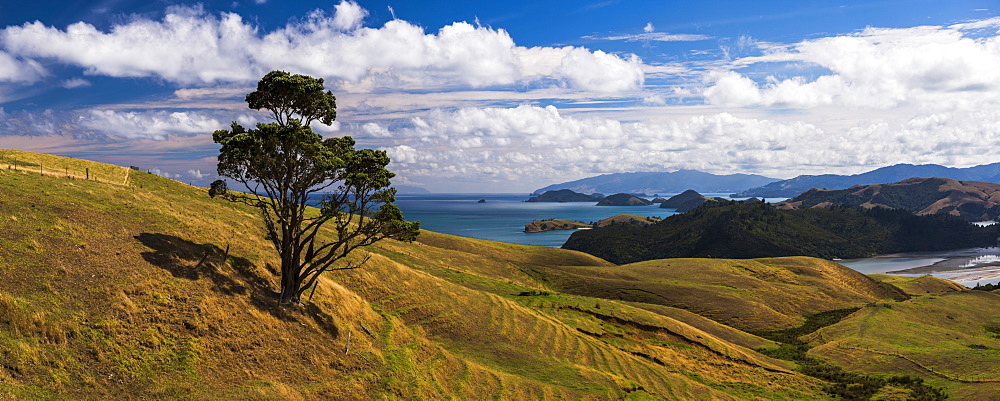 West Coast of Coromandel Peninsula, North Island, New Zealand, Pacific