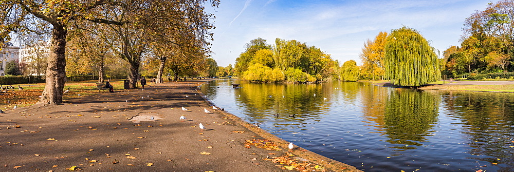 Autumn in Regents Park, one of the Royal Parks of London, England, United Kingdom, Europe