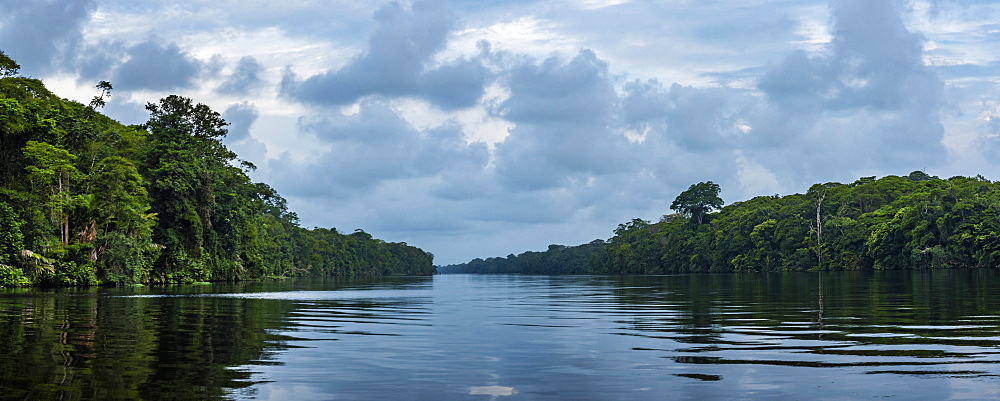 Tortuguero National Park, Limon Province, Costa Rica, Central America